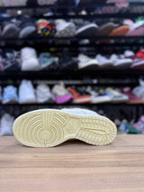 Nike SB