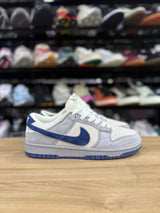 Nike SB